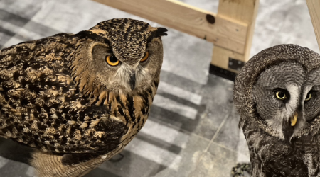 爬虫類カフェedgeのサブ写真１